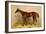 Emblem, Steeplechase Mare-Samuel Sidney-Framed Art Print