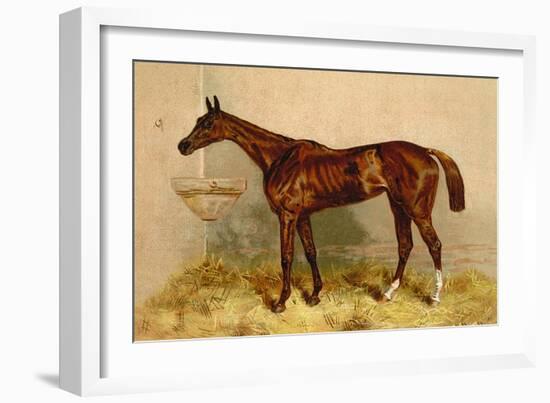 Emblem, Steeplechase Mare-Samuel Sidney-Framed Art Print