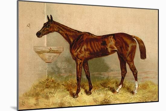 Emblem, Steeplechase Mare-Samuel Sidney-Mounted Art Print