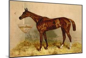 Emblem, Steeplechase Mare-Samuel Sidney-Mounted Art Print