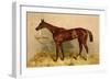 Emblem, Steeplechase Mare-Samuel Sidney-Framed Premium Giclee Print