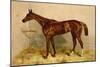 Emblem, Steeplechase Mare-Samuel Sidney-Mounted Premium Giclee Print