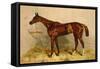 Emblem, Steeplechase Mare-Samuel Sidney-Framed Stretched Canvas