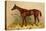 Emblem, Steeplechase Mare-Samuel Sidney-Stretched Canvas