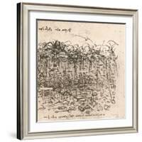 Emblematic representation, c1472-c1519 (1883)-Leonardo Da Vinci-Framed Giclee Print