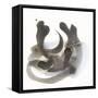 Embodiment I-Renee W. Stramel-Framed Stretched Canvas