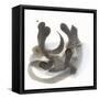 Embodiment I-Renee W. Stramel-Framed Stretched Canvas