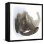 Embodiment II-Renee W. Stramel-Framed Stretched Canvas