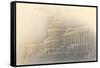 Embossed View of the Capitol-null-Framed Stretched Canvas