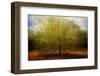 Embrace me-Katarina Holmstrom-Framed Photographic Print