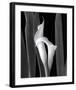 Embrace-Mary Ann Mercer-Framed Art Print