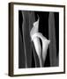 Embrace-Mary Ann Mercer-Framed Art Print