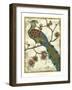 Embroidered Pheasant II-Chariklia Zarris-Framed Art Print