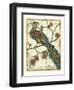 Embroidered Pheasant II-Chariklia Zarris-Framed Art Print