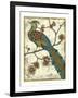 Embroidered Pheasant II-Chariklia Zarris-Framed Art Print