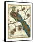 Embroidered Pheasant II-Chariklia Zarris-Framed Stretched Canvas
