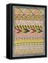 Embroidery Sampler-Mexican School-Framed Stretched Canvas