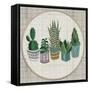 Embroidery Succulents, Cactus and Pots. Cactus Wall Art Embroidery Home Decor Cacti Succulents.-ImHope-Framed Stretched Canvas