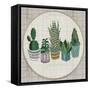 Embroidery Succulents, Cactus and Pots. Cactus Wall Art Embroidery Home Decor Cacti Succulents.-ImHope-Framed Stretched Canvas