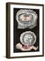 Embryo, Final Stages-null-Framed Art Print