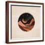 Brown Frame
