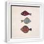 White Frame