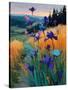 Stretched Canvas