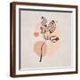 Brown Frame