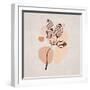 White Frame