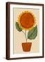 Brown Frame