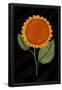 Essential Black