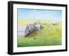 Emerald Acres-Kevin Dodds-Framed Giclee Print