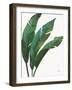 Emerald Banana Leaves I-Janelle Penner-Framed Art Print