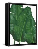 Emerald Banana Leaves II-Janelle Penner-Framed Stretched Canvas