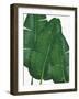 Emerald Banana Leaves II-Janelle Penner-Framed Art Print
