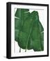 Emerald Banana Leaves II-Janelle Penner-Framed Art Print