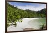 Emerald Bay, Beach and Palm Trees, Palau Pangkor Laut, Malaysia-Peter Adams-Framed Photographic Print
