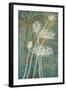 Emerald Blooms 1-Filippo Ioco-Framed Art Print