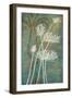 Emerald Blooms 1-Filippo Ioco-Framed Art Print