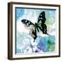 Emerald Butterfly I-Ingrid Van Den Brand-Framed Giclee Print