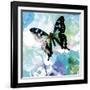 Emerald Butterfly I-Ingrid Van Den Brand-Framed Giclee Print