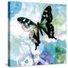 Emerald Butterfly I-Ingrid Van Den Brand-Stretched Canvas