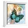 Emerald Butterfly II-Ingrid Van Den Brand-Framed Giclee Print