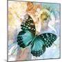 Emerald Butterfly II-Ingrid Van Den Brand-Mounted Giclee Print