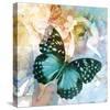 Emerald Butterfly II-Ingrid Van Den Brand-Stretched Canvas