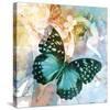Emerald Butterfly II-Ingrid Van Den Brand-Stretched Canvas