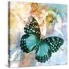 Emerald Butterfly II-Ingrid Van Den Brand-Stretched Canvas