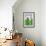 Emerald City Travel-Steve Thomas-Framed Giclee Print displayed on a wall