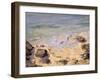 Emerald Coast-Bob Brown-Framed Giclee Print