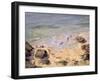 Emerald Coast-Bob Brown-Framed Giclee Print